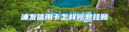 浦发信用卡怎样停息挂账