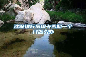 建设银行信用卡逾期一个月怎么办