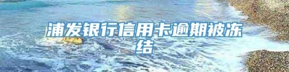 浦发银行信用卡逾期被冻结