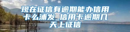 现在征信有逾期能办信用卡么浦发_信用卡逾期几天上征信