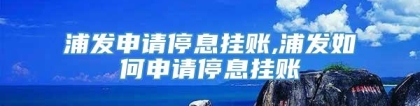 浦发申请停息挂账,浦发如何申请停息挂账