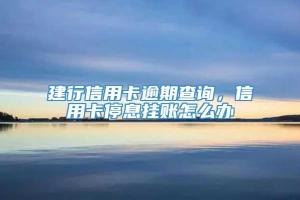 建行信用卡逾期查询，信用卡停息挂账怎么办