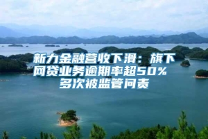 新力金融营收下滑：旗下网贷业务逾期率超50% 多次被监管问责