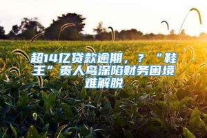 超14亿贷款逾期，？“鞋王”贵人鸟深陷财务困境难解脱