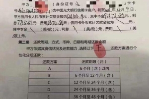 本人欠网贷和信用卡共计30万，目前无力偿还，还不上会有什么后果？