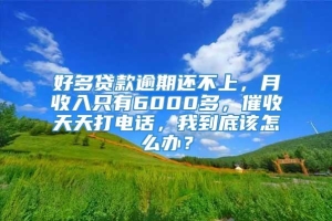 好多贷款逾期还不上，月收入只有6000多，催收天天打电话，我到底该怎么办？