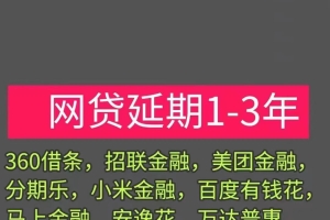 民生银行信用卡逾期了怎么跟银行协商  怎么跟民生银行申请停息挂账  怎么跟民生银行协商还款  怎么向民生银行申请延期还款