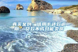 真实案例：信用卡还款逾期  贷款不成只能卖房