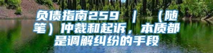 负债指南259 ｜ （随笔）仲裁和起诉，本质都是调解纠纷的手段