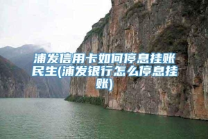 浦发信用卡如何停息挂账民生(浦发银行怎么停息挂账)